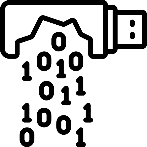 Data Loss